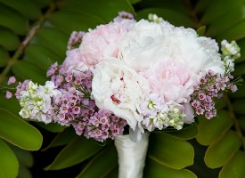 Kukahiko Estate Photo Gallery