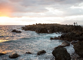 Kukahiko Estate Photo Gallery