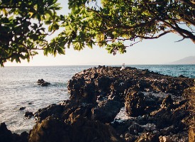 Kukahiko Estate Photo Gallery