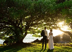 Kukahiko Estate Photo Gallery