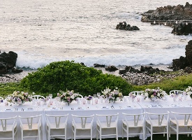 Kukahiko Estate Photo Gallery